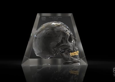 Skull