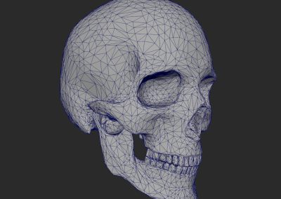 Skull