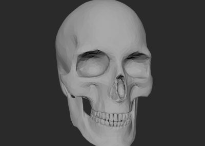 Skull